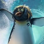 Liam Gibbons - @liamgibbons67 - Instagram