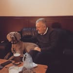 Liam Gibbons - @gibbons_liam - Instagram
