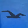 Liam Glass - @liam_glass_30 - TikTok