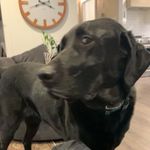 Liam Glenn - @liam_glenn_ - Instagram