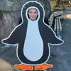 Liam glennon - @liglenn - TikTok
