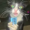 liamgooch09 - @liam.gooch - TikTok