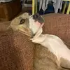 Liam Graham - @liam.graham02 - TikTok