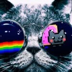 Liam Guiney - @guinea_pig_2 - Instagram