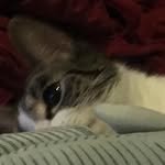 Liam Guzman - @liam.guzman.1044 - Instagram
