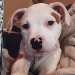 liamhadley - @liamhadley98 - Instagram
