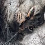 Liam Haley - @cleansquire4984 - Instagram