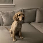 Liam Hancock - @liamhancock42 - Instagram