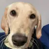 liam.hanlon44 - @liam.hanlon44 - TikTok