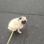 Liam - @liam._.hansen - Instagram