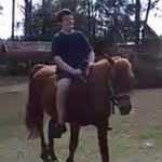 Liam Harrell - @anthony.eversmann - Instagram