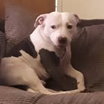 Liam Hartley - @liam.hartley.52035 - Instagram