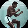 Liam Harty - @liam_hartyboxing2 - TikTok