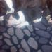 Liam Hearn - Facebook