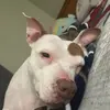 LiamHeath16 - @liam.heath8 - TikTok