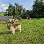 Liam Herlihy - Facebook