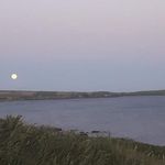 Liam Herlihy - @herlihy4638 - Instagram