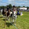 Liam herlihy 🐴🚜🐐 - @liam.herlihy3 - TikTok