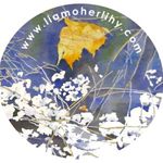 Liam O'Herlihy - @liamoherlihywatercolours - Instagram