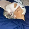 Liam Hilton - @liam.hilton29 - TikTok