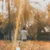 liam.hilton96 - @liamhilton__ - TikTok