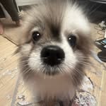 Liam Hoang - @liamm_hoang - Instagram