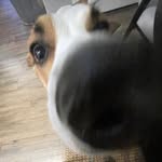 Liam Horne - @liam.the.4th - Instagram