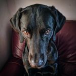 Liam Howarth - @liamhow80 - Instagram