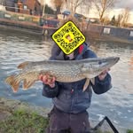 Liam Hubbard - @liam_gingy - Instagram