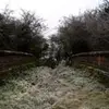 liam hulme - @juiced_ig - TikTok