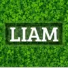 liam Irish - @liamcole376 - TikTok