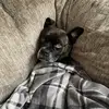 liamirwin852 - @liamirwin852 - TikTok