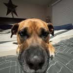 Liam isaacs - @lisaacs1450 - Instagram