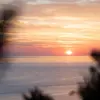 Liam.Jackson - @liamjackson64 - TikTok