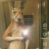 Liam Jimenez - @liam.jimenez49 - TikTok