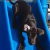 Liam Johnston - @liam.johnston8 - TikTok