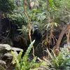 Liam Johnstoned - @liam.johnstoned - TikTok