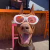 Liam - @liam.knezevic - TikTok