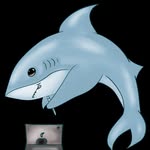 Liam / Liu - @sharksartplace - Instagram