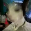 Liam🐸 - @liam.ludwig5 - TikTok