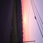 Liam Muir - @liammuir70 - Instagram