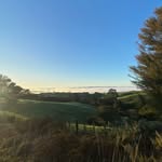 Liam Muir - @nzliam1 - Instagram
