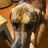 Liam - @liam.pratt77 - TikTok