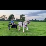 Liam Rhodes - @liam.rhodes_1 - Instagram