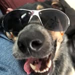 Liam Rhodes - @liamrhodes53 - Instagram