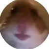 Liam Rodgers - @liamrodgers6 - TikTok