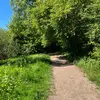 Liam Schilling - @liam.schilling4 - TikTok