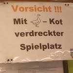 Liam Schmidt - @liam.hallenga - Instagram