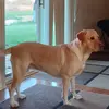 liamschroeder69 - @liam.schroeder1 - TikTok