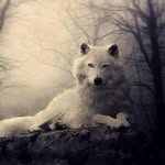 Liam Simmons - @liam_simmons - Instagram